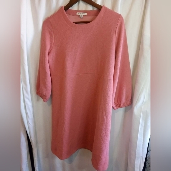 Free Assembly Small Classic Pink 3/4 Sleeve A-Line Dress Shift Preppy Casual - Picture 5 of 9